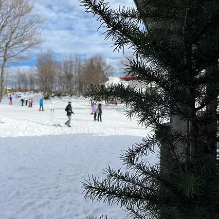 Pensión Burja At Vogel Mountain - Cable Car Access Or Hiking - Not Reachable With Car