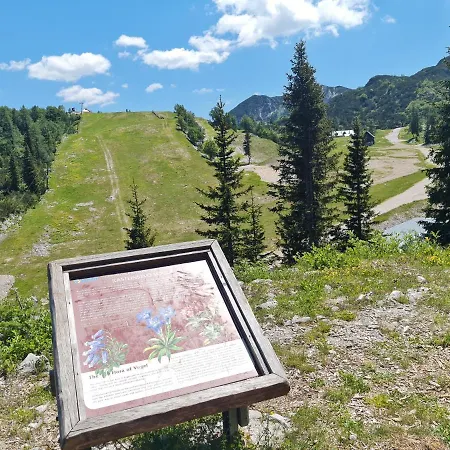 Burja At Vogel Mountain - Cable Car Access Or Hiking - Not Reachable With Car 보히니