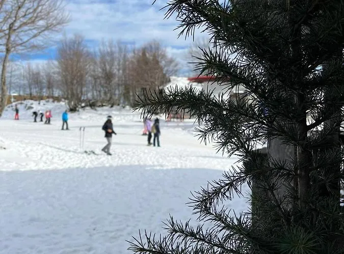 Vendégház Burja At Vogel Mountain - Cable Car Access Or Hiking - Not Reachable With Car