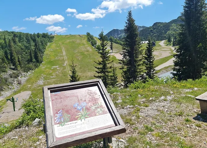 Burja At Vogel Mountain - Cable Car Access Or Hiking - Not Reachable With Car Bohinj