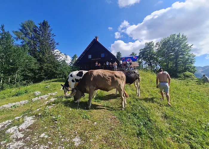 Affittacamere Burja At Vogel Mountain - Cable Car Access Or Hiking - Not Reachable With Car Bohinj